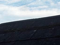 fkillineybeforeexternal 1465.jpg